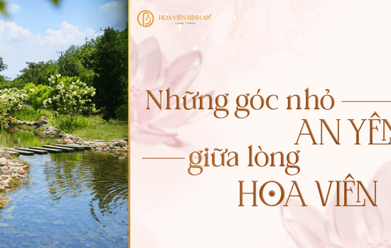 HOA VIÊN BÌNH AN – NƠI GIAO HÒA GIỮA NGHỆ THUẬT, TÂM LINH VÀ THIÊN NHIÊN