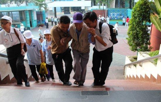 HOA VIÊN BÌNH AN VÀ CHUỖI HOẠT ĐỘNG NHÂN NGÀY QUỐC TẾ NCT 1/10/2017