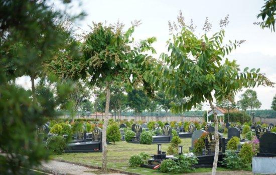 MỘ ĐƠN LÀ GÌ? KÍCH THƯỚC, GIÁ VÀ NƠI MUA MỘ ĐƠN HỢP PHONG THỦY, KHÔNG LO RỦI RO PHÁP LÝ