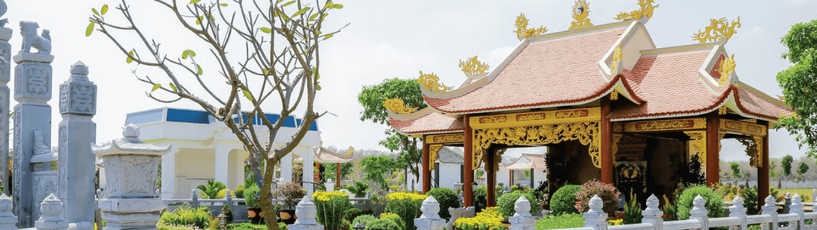 Sản phẩm