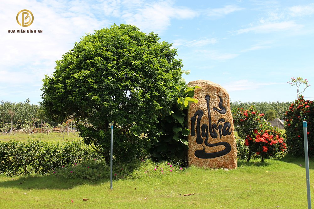 Top những loại cây trồng phù hợp ở phần mộ