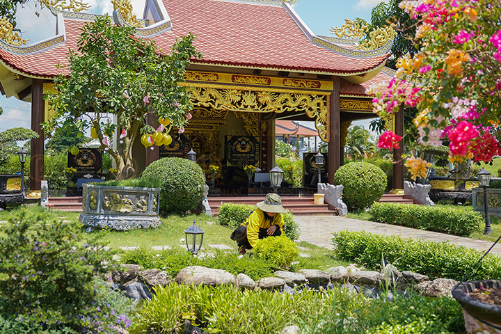 Lợi ích khi chủ động tìm hiểu đất sinh phần từ sớm